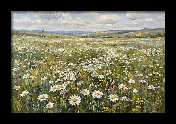 Daisy Field Under Open Skies