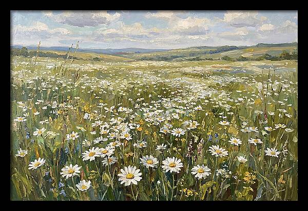 Daisy Field Under Open Skies