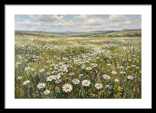 Daisy Field Under Open Skies