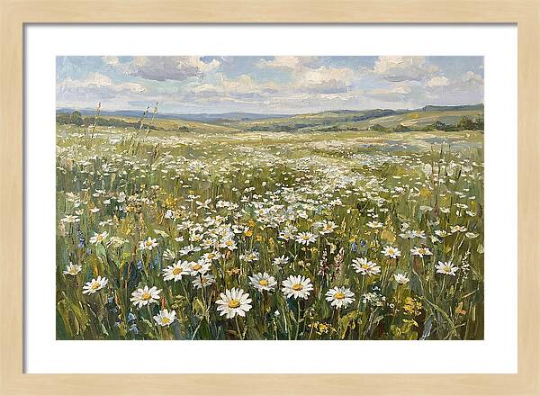Daisy Field Under Open Skies