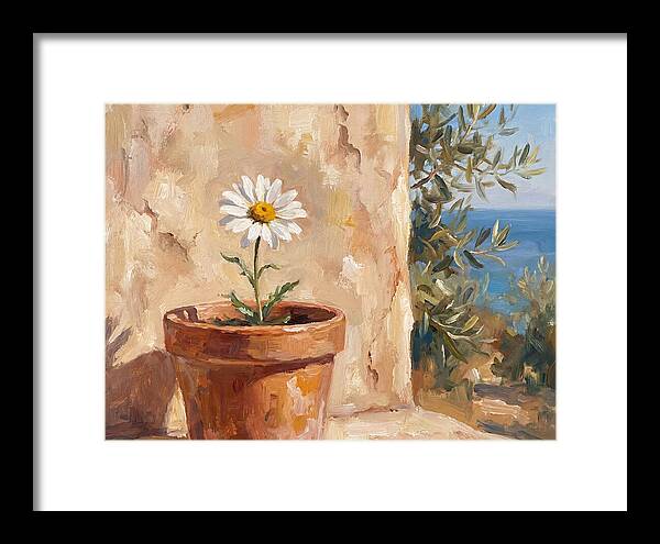 Daisy In A Mediterranean Setting