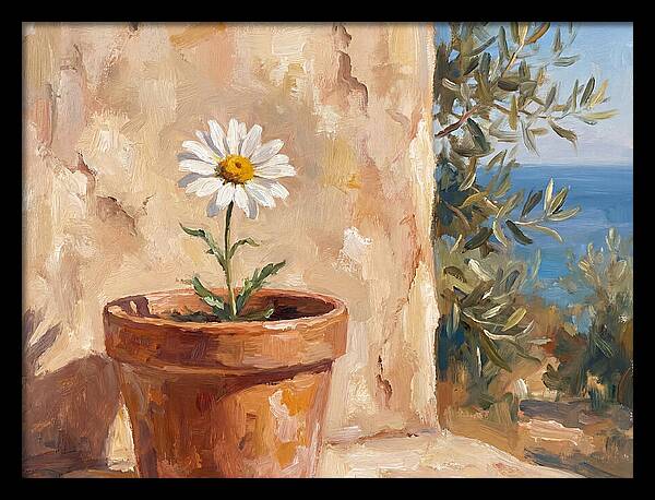 Daisy In A Mediterranean Setting