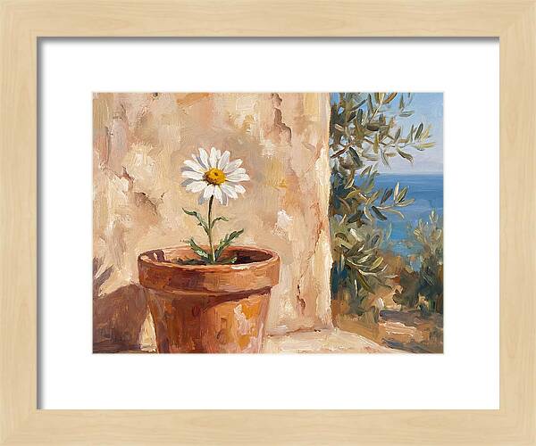 Daisy In A Mediterranean Setting