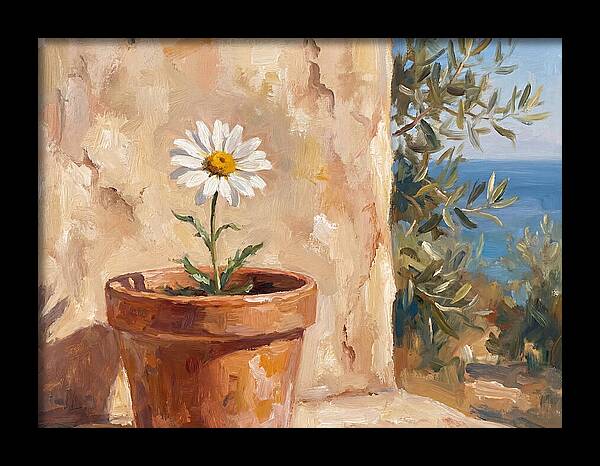 Daisy In A Mediterranean Setting