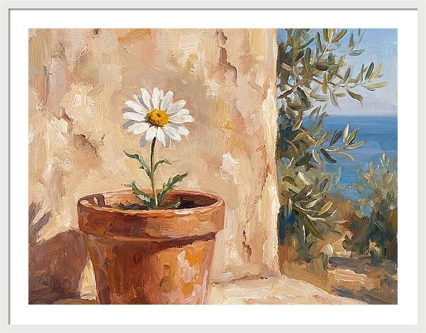 Daisy In A Mediterranean Setting