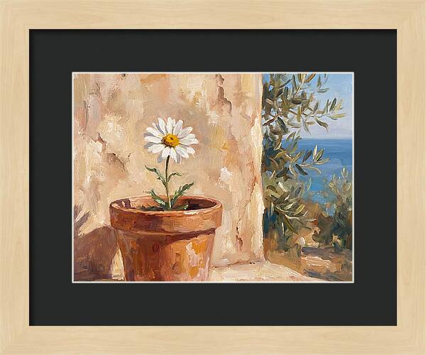 Daisy In A Mediterranean Setting