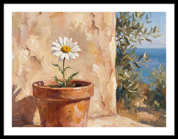 Daisy In A Mediterranean Setting
