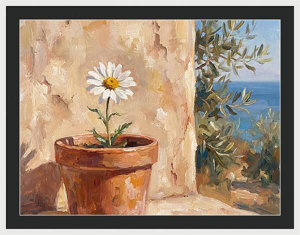 Daisy In A Mediterranean Setting
