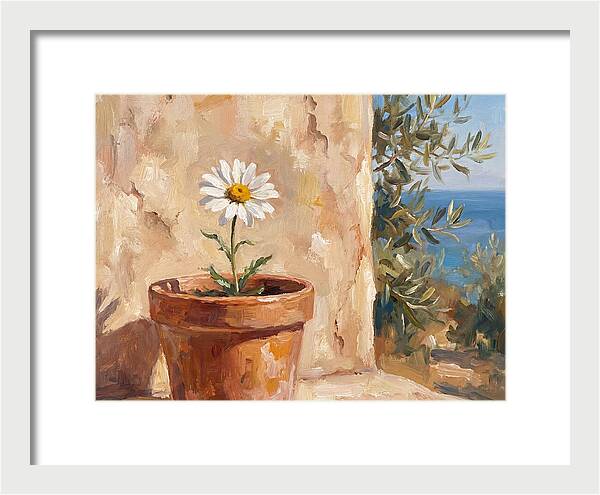 Daisy In A Mediterranean Setting