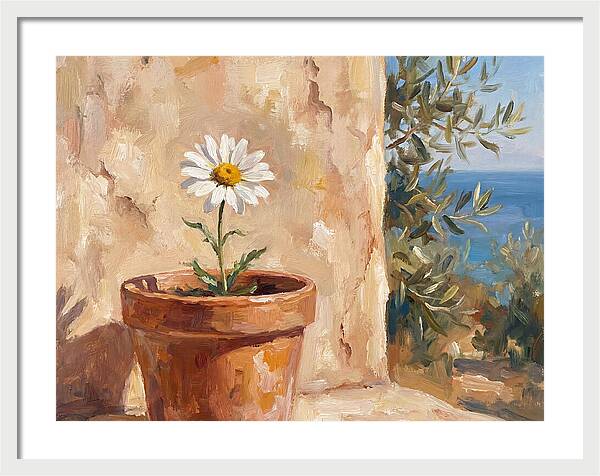 Daisy In A Mediterranean Setting