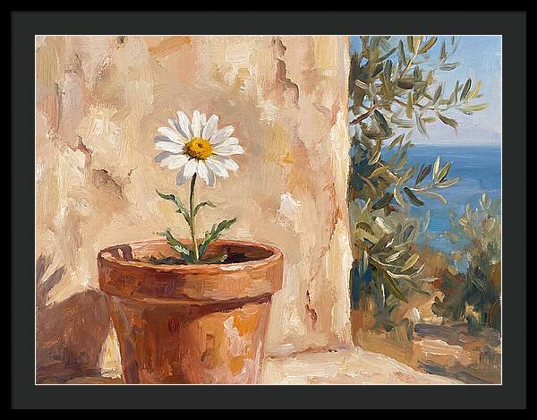 Daisy In A Mediterranean Setting