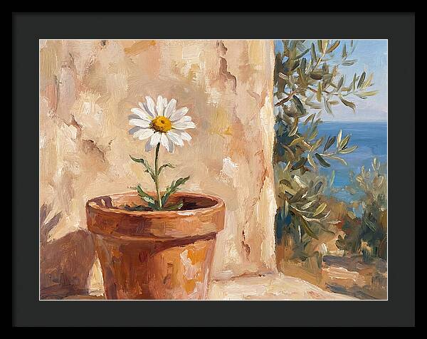 Daisy In A Mediterranean Setting