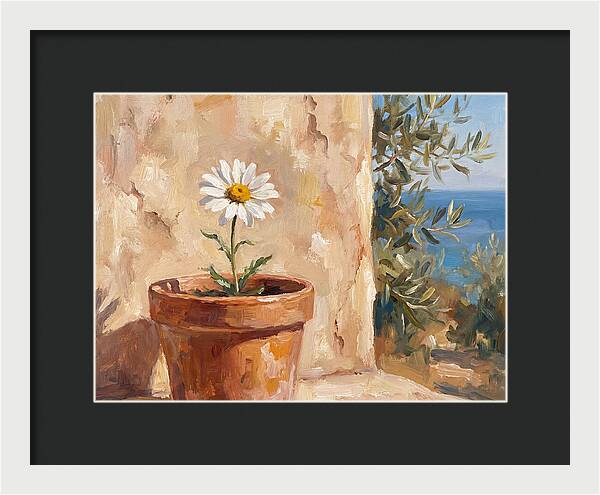Daisy In A Mediterranean Setting