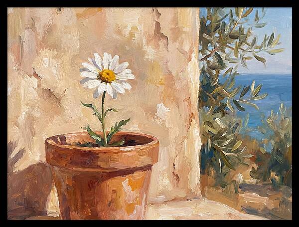 Daisy In A Mediterranean Setting