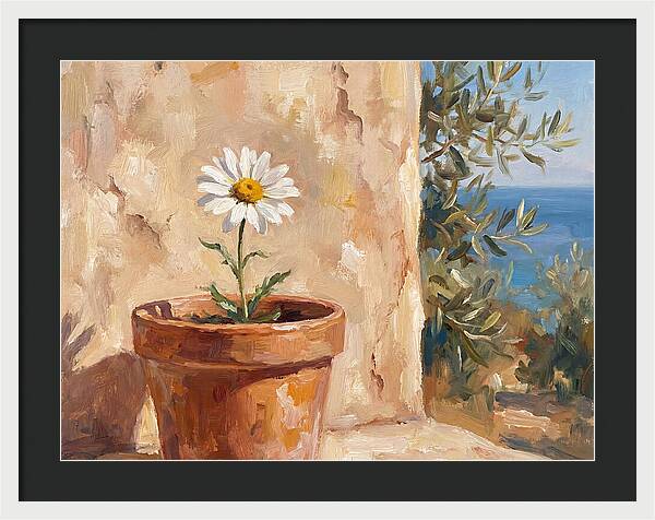 Daisy In A Mediterranean Setting