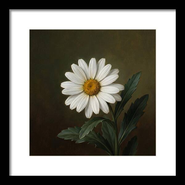 Daisy In Realistic Detail