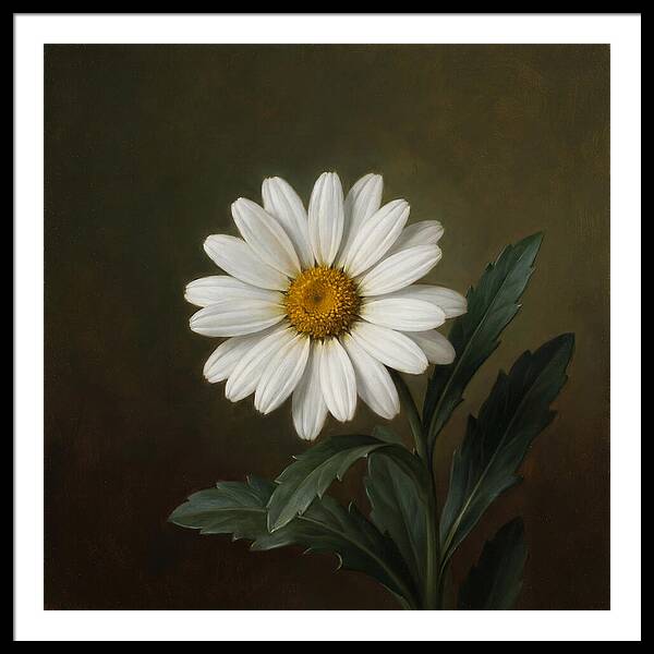 Daisy In Realistic Detail