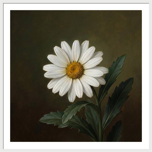 Daisy In Realistic Detail
