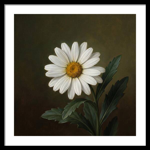 Daisy In Realistic Detail