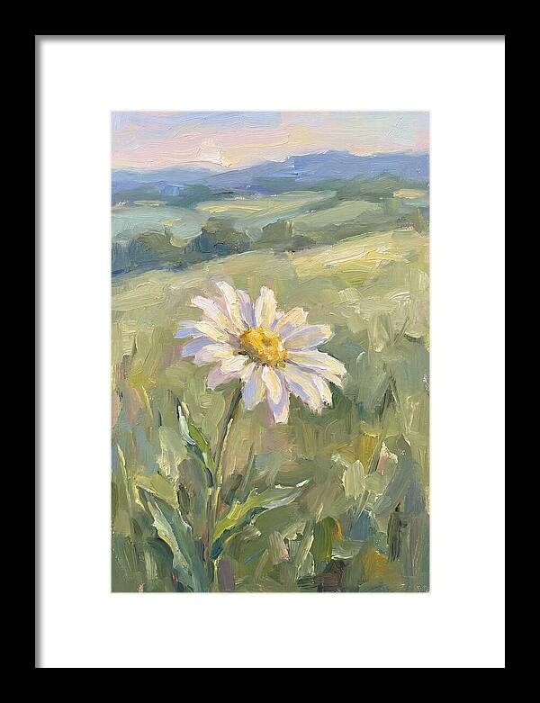 Daisy In The Meadow