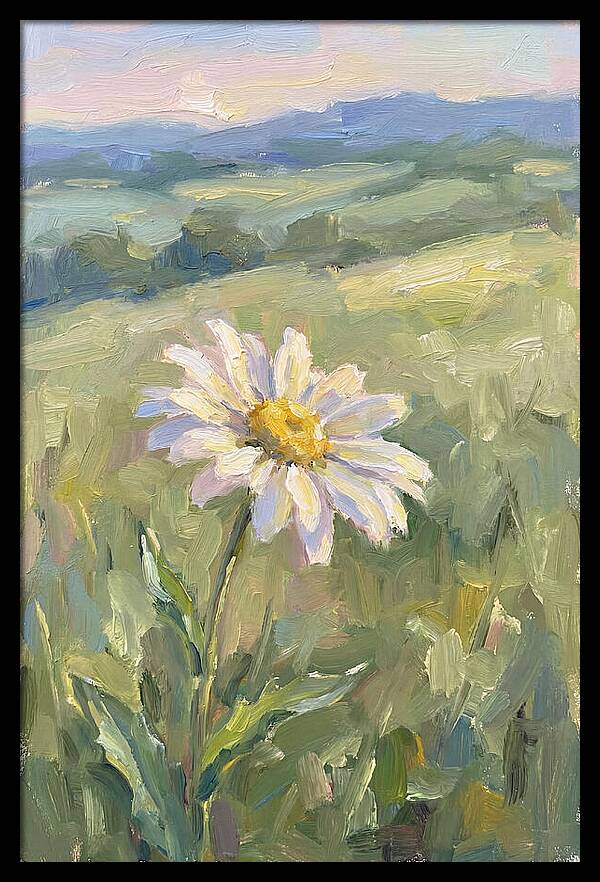 Daisy In The Meadow