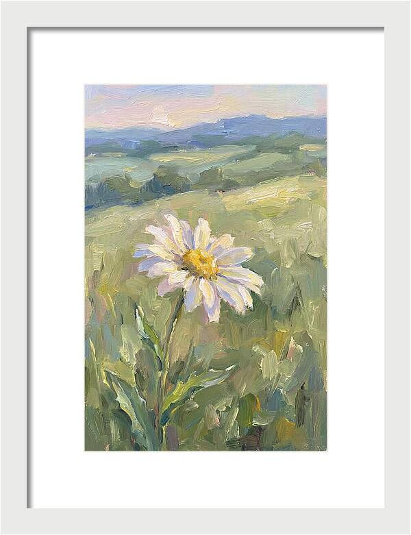 Daisy In The Meadow