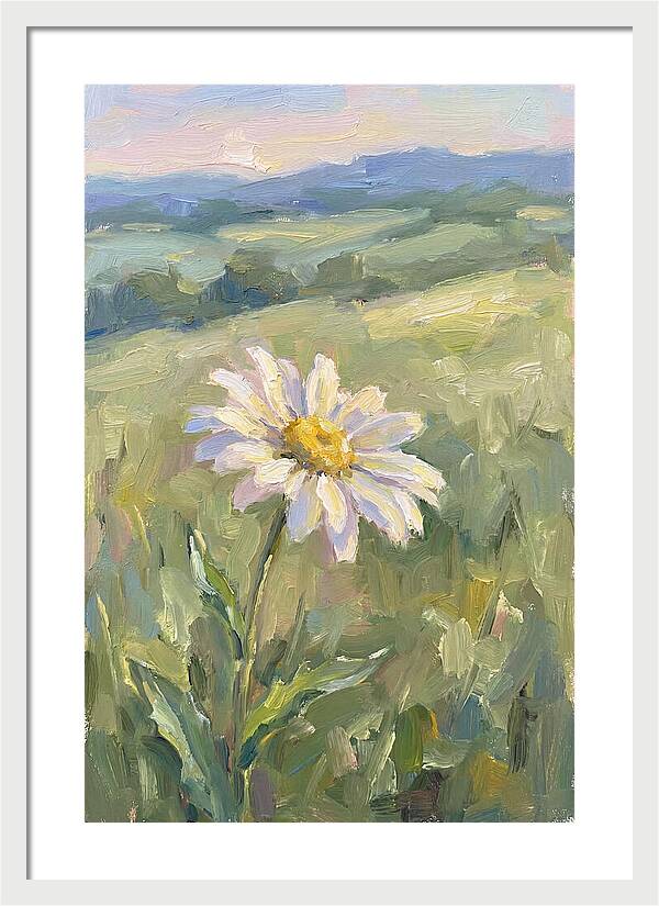 Daisy In The Meadow