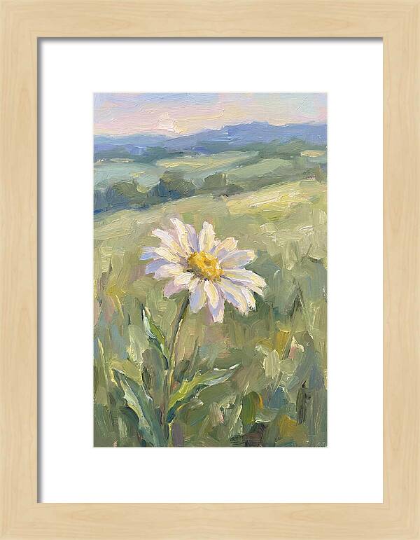 Daisy In The Meadow