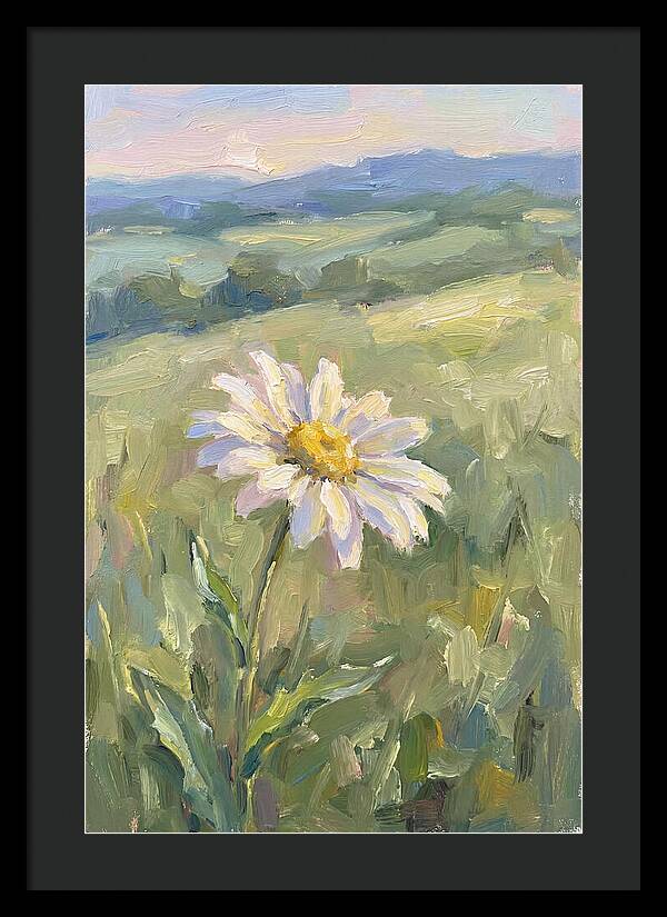 Daisy In The Meadow