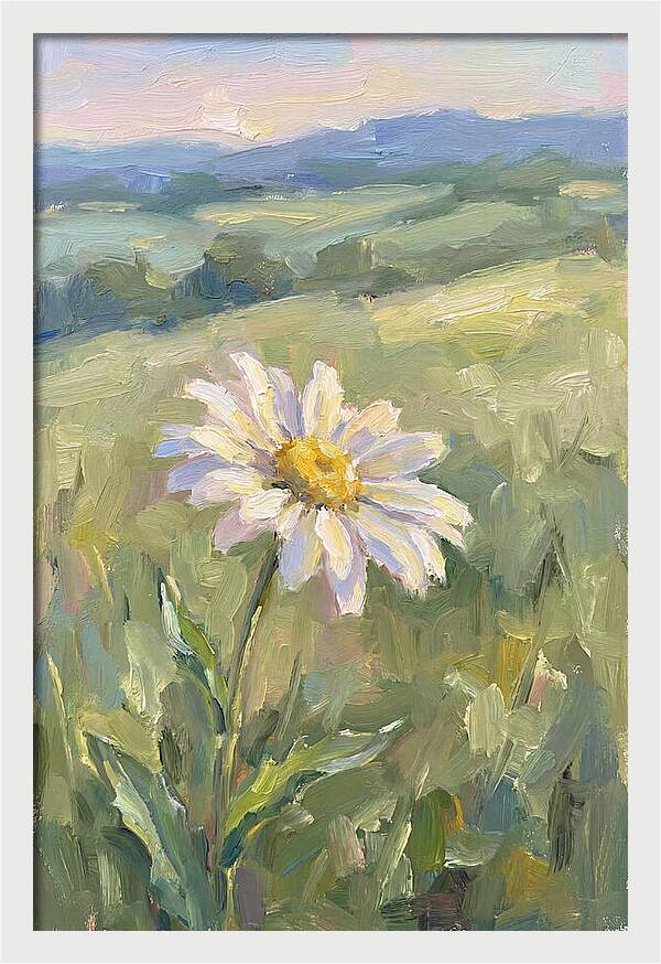 Daisy In The Meadow