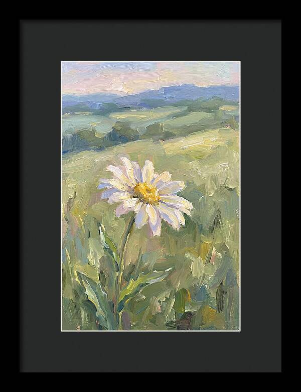 Daisy In The Meadow
