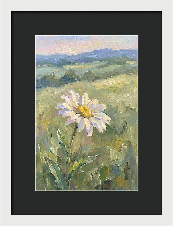 Daisy In The Meadow