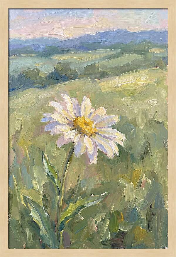 Daisy In The Meadow