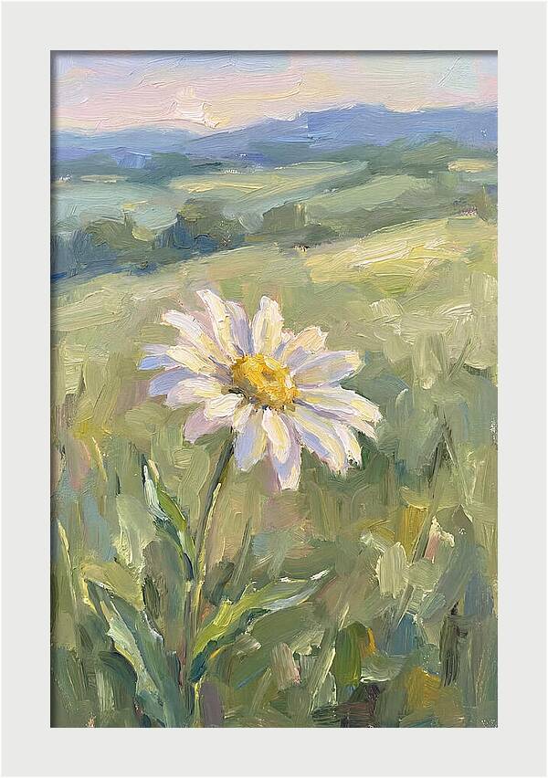 Daisy In The Meadow