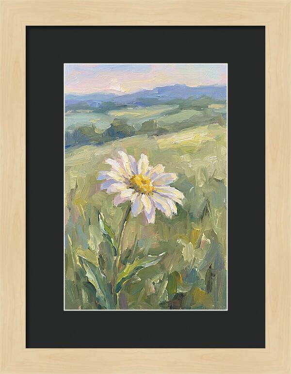 Daisy In The Meadow