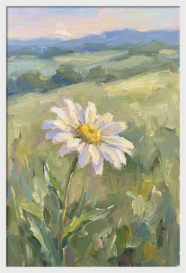 Daisy In The Meadow