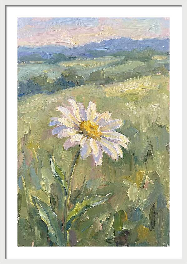 Daisy In The Meadow