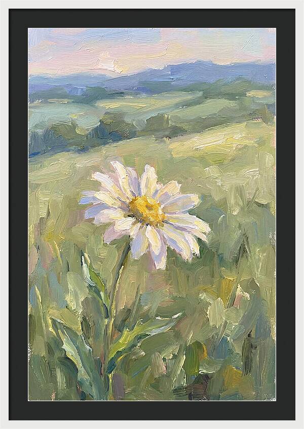 Daisy In The Meadow