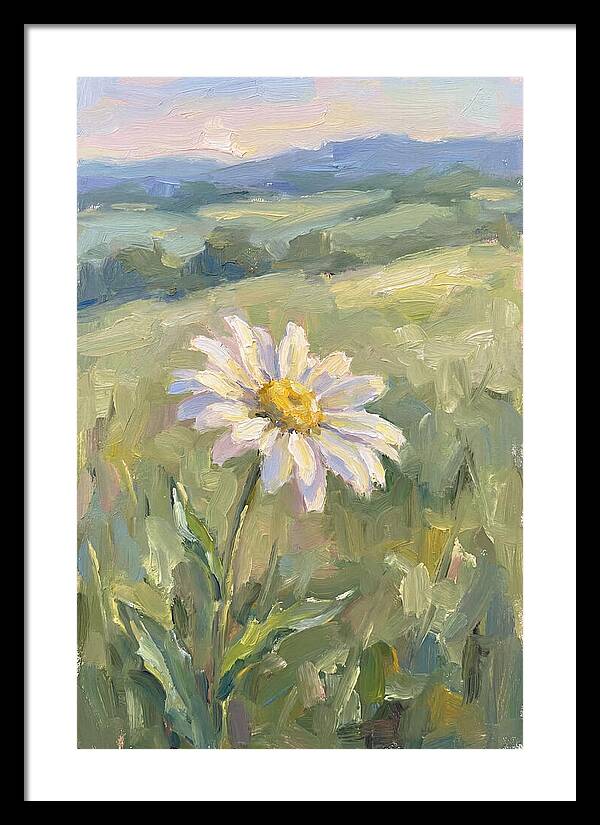 Daisy In The Meadow