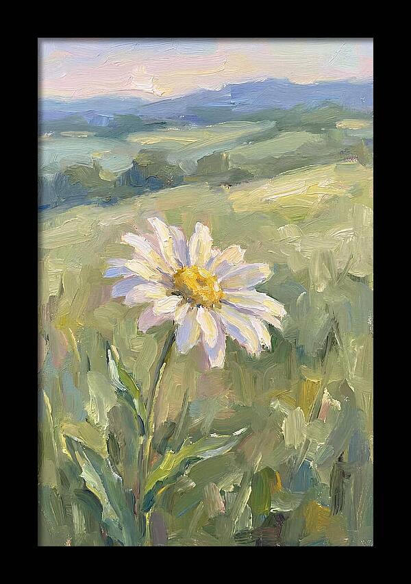Daisy In The Meadow