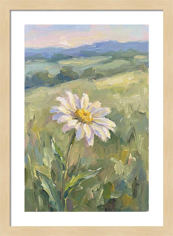 Daisy In The Meadow
