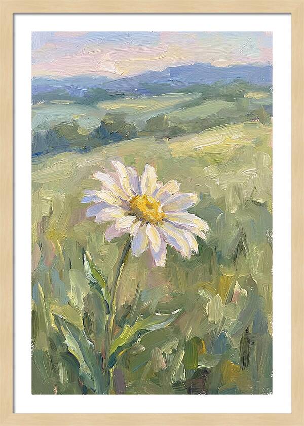 Daisy In The Meadow