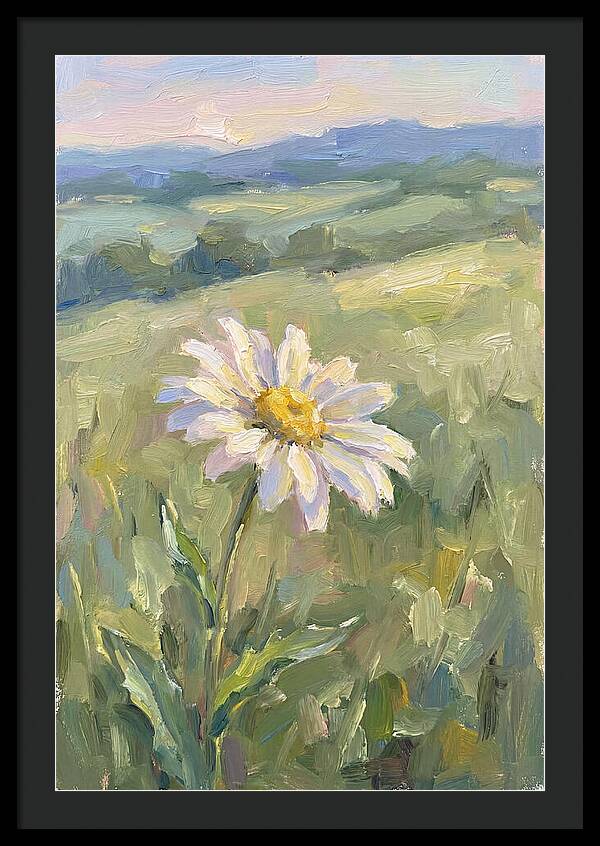 Daisy In The Meadow