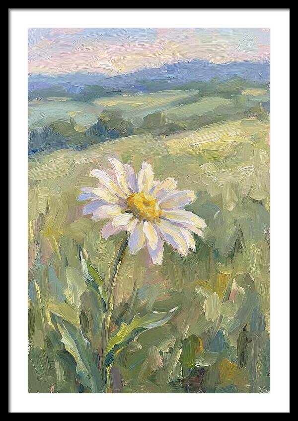 Daisy In The Meadow