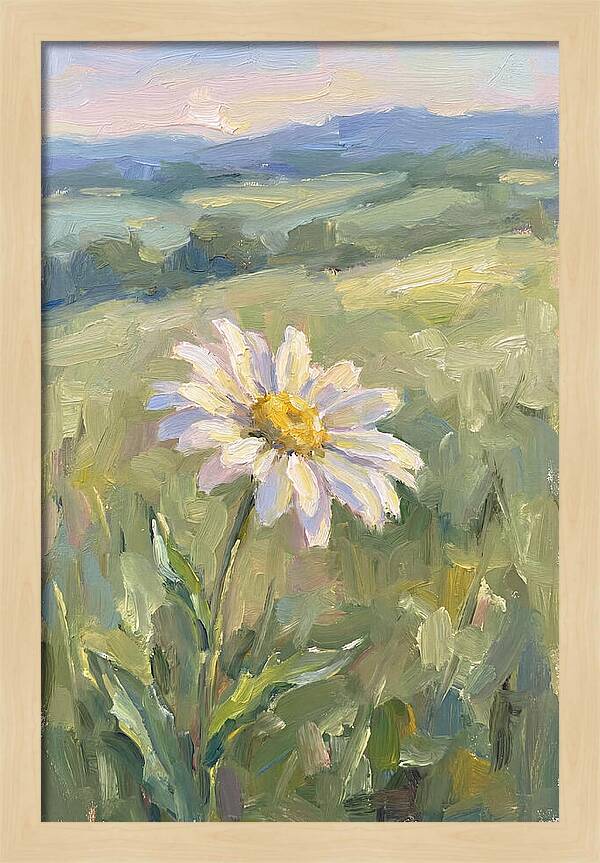 Daisy In The Meadow