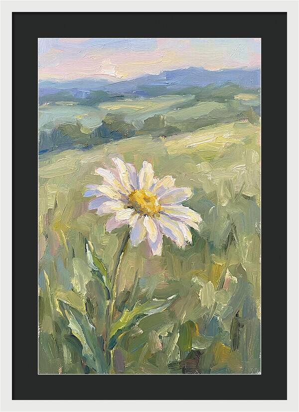 Daisy In The Meadow