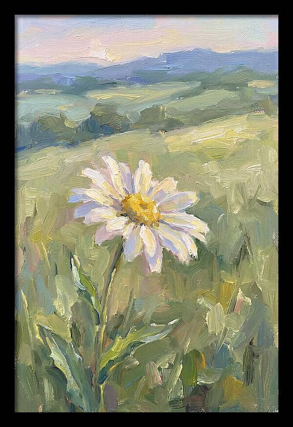 Daisy In The Meadow