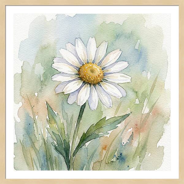 Daisy In Watercolor Bliss