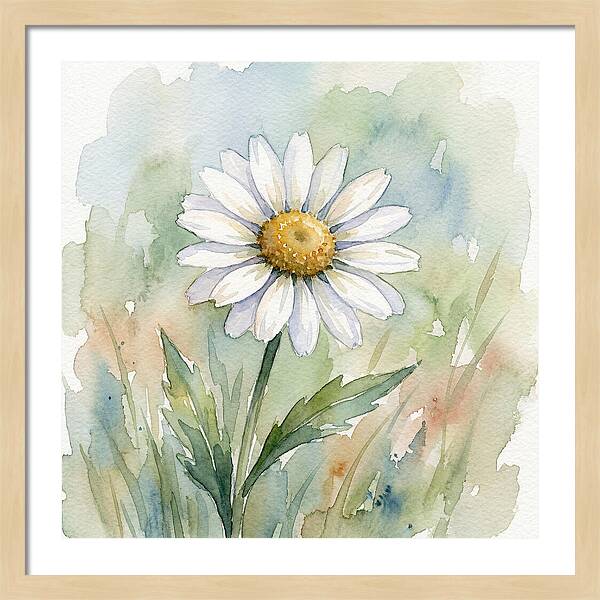 Daisy In Watercolor Bliss