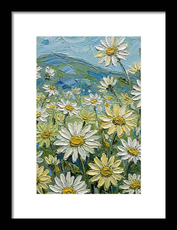 Daisy Landscape In Bloom